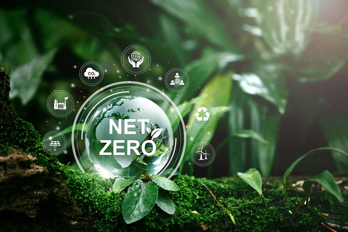 Race to Net Zero