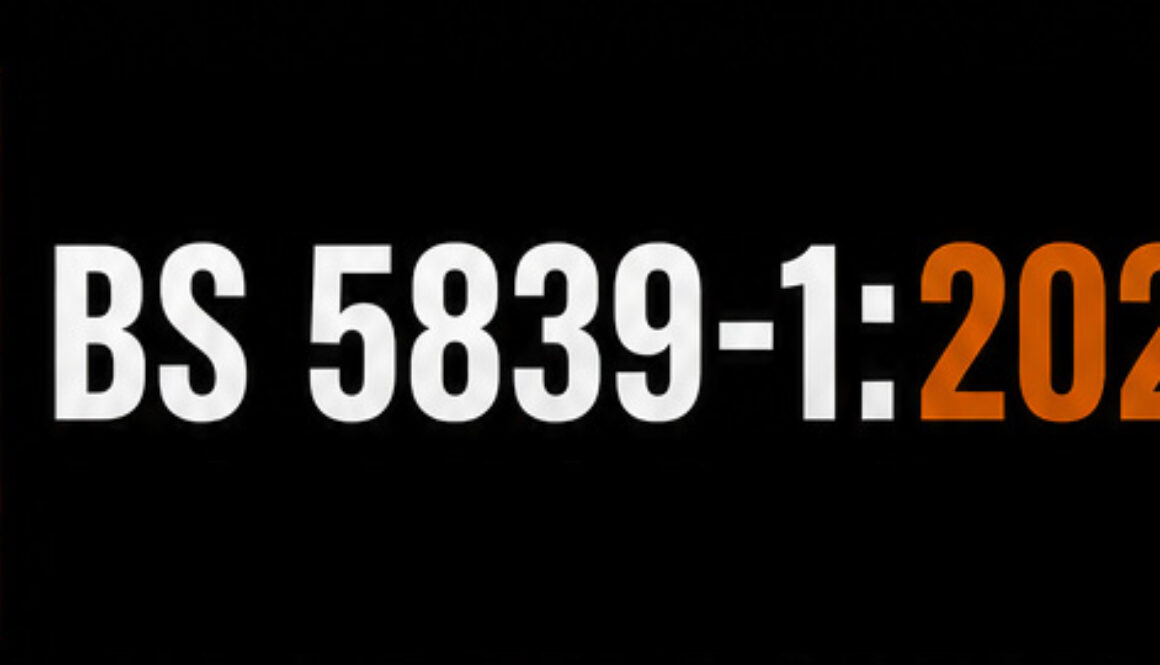 BS-5839-1-2025